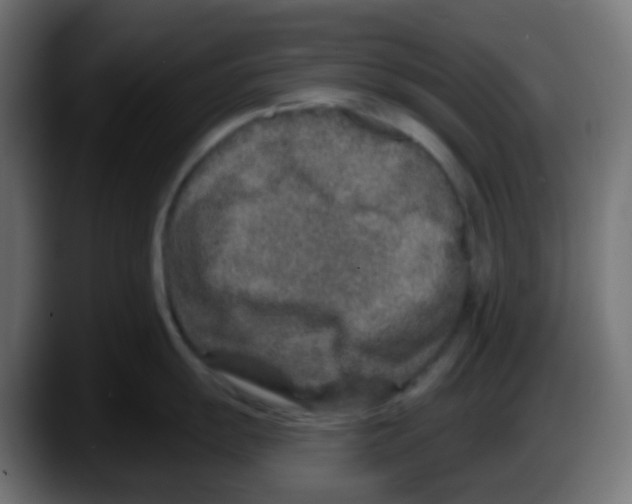 X0000087571055200705251816