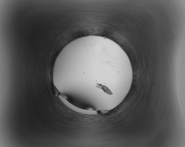 X0000087571058200705251816