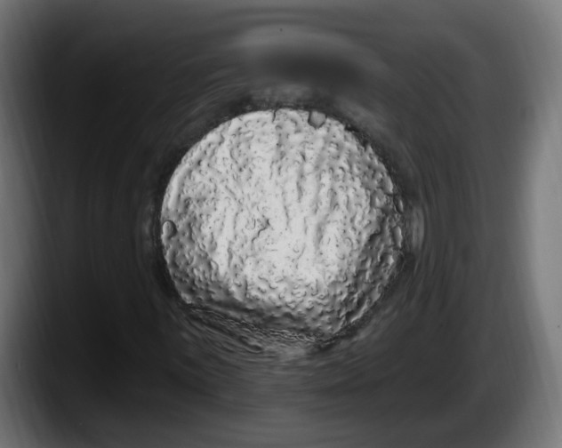 X0000087571059200705251816