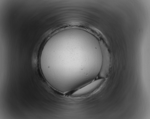 X0000087571065200705251816