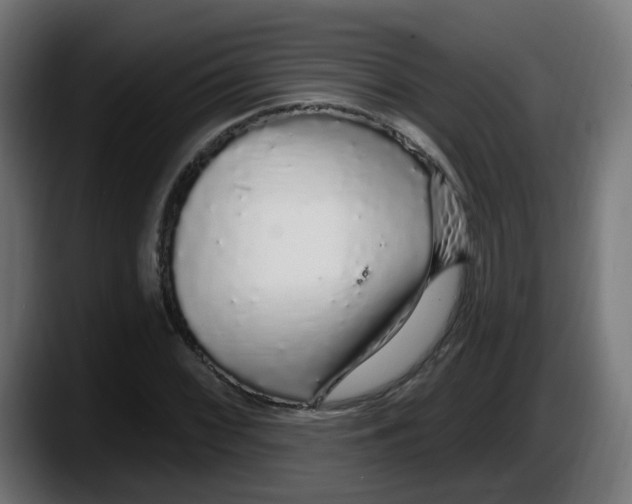 X0000087571068200705251816