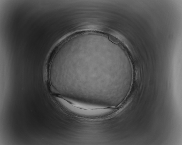 X0000087571069200705251816