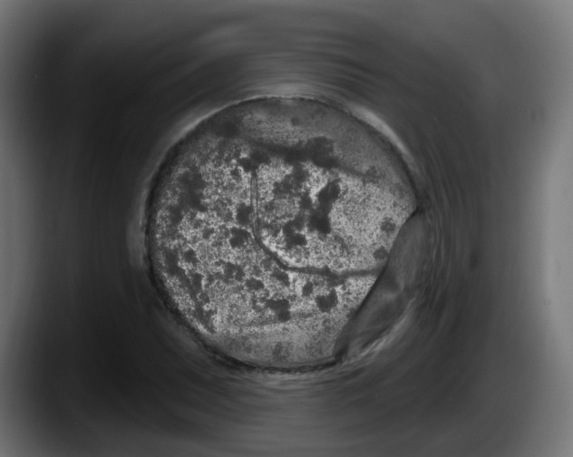 X0000087571071200705251816