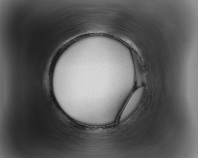 X0000087571072200705251816