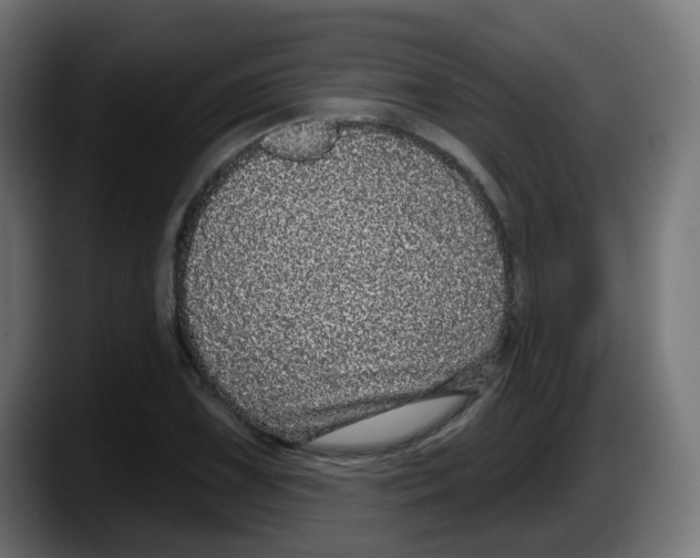 X0000087571075200705251816