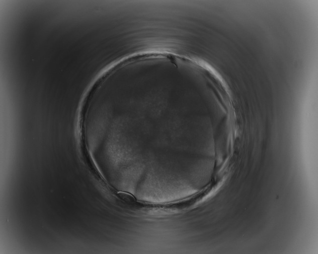 X0000087571077200705251815