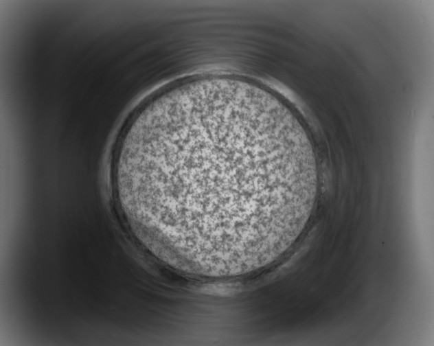 X0000087571078200705251815