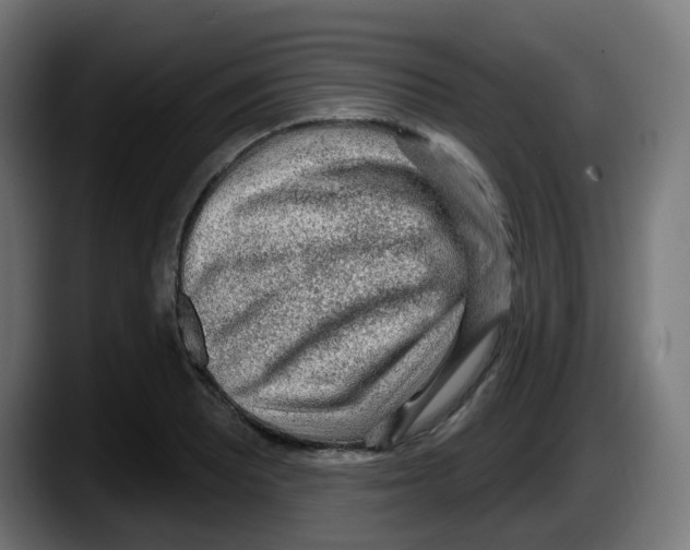 X0000087571081200705251815