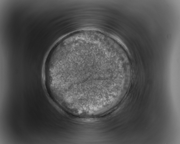 X0000087571084200705251815