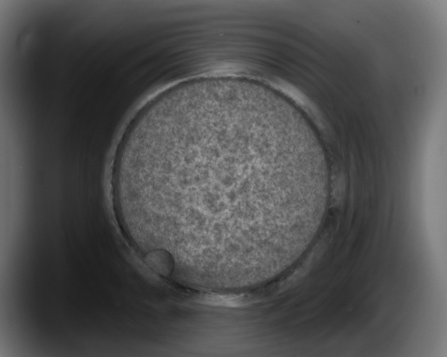 X0000087571086200705251815