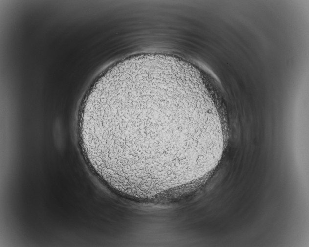 X0000087571087200705251815