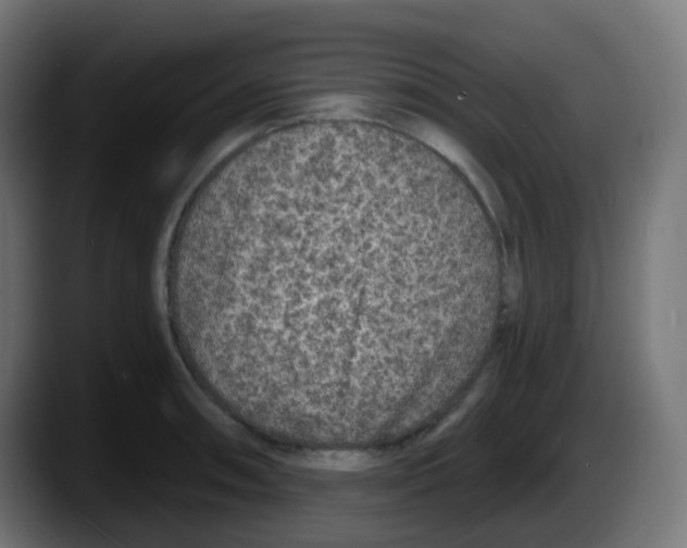 X0000087571090200705251815