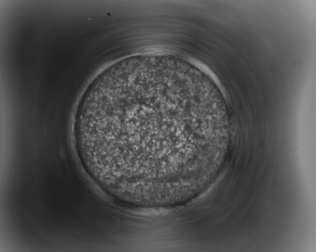 X0000087571091200705251815