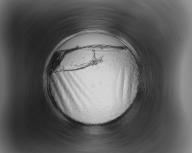 X0000087571092200705251815