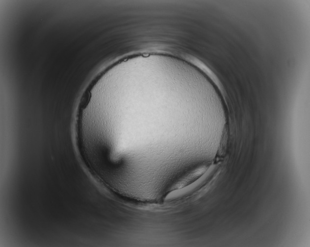 X0000087571093200705251815