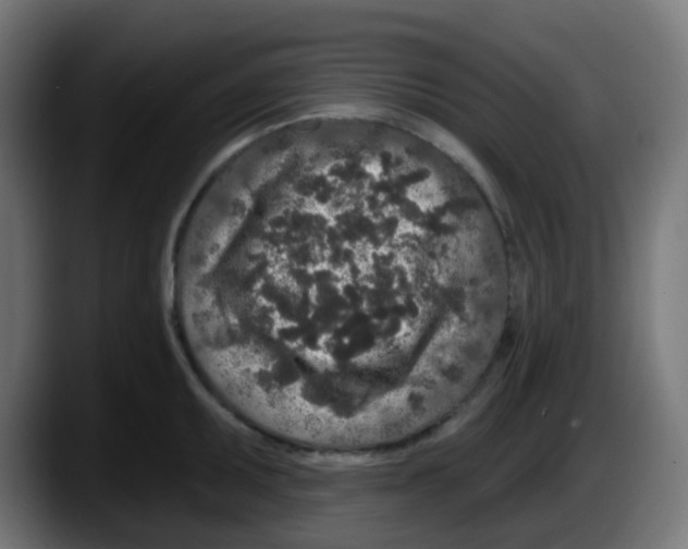 X0000087571095200705251815