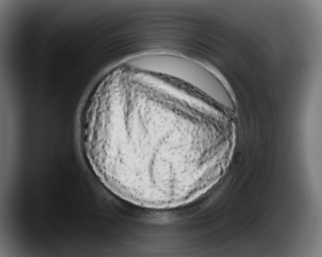 X0000087571096200705251815