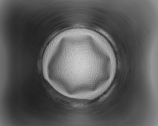 X0000087571097200705251815