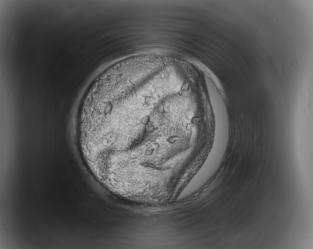 X0000087571099200705251815