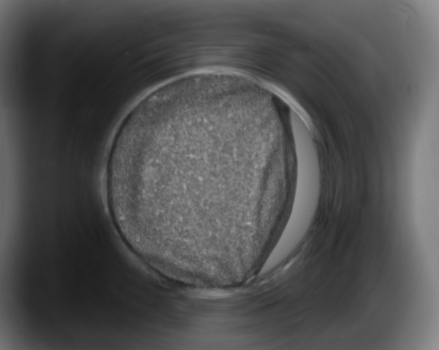 X0000087571100200705251815