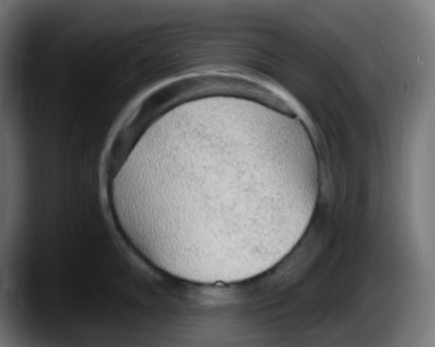 X0000087571102200705251815