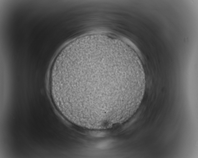 X0000087571103200705251815