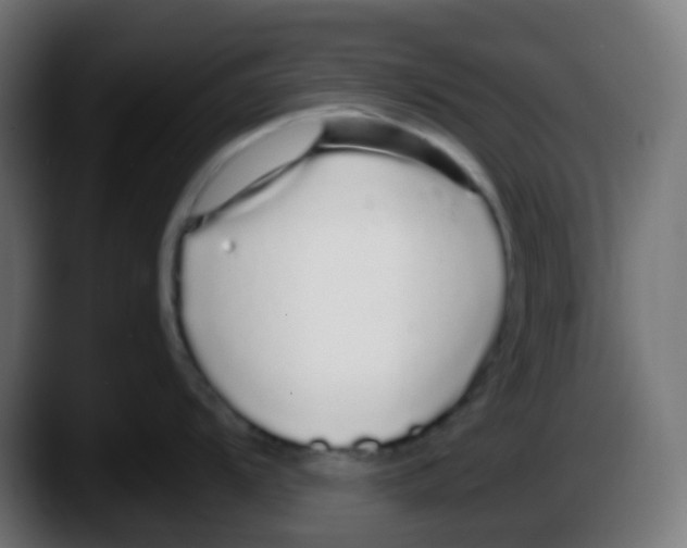 X0000087571104200705251815