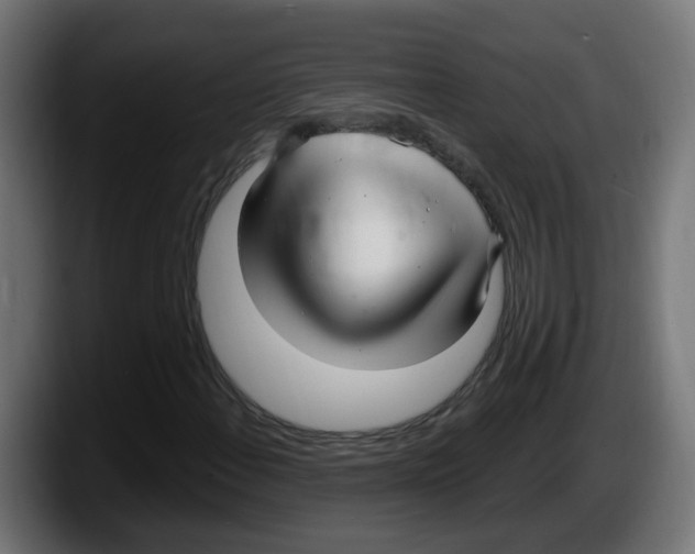 X0000087571108200705251815