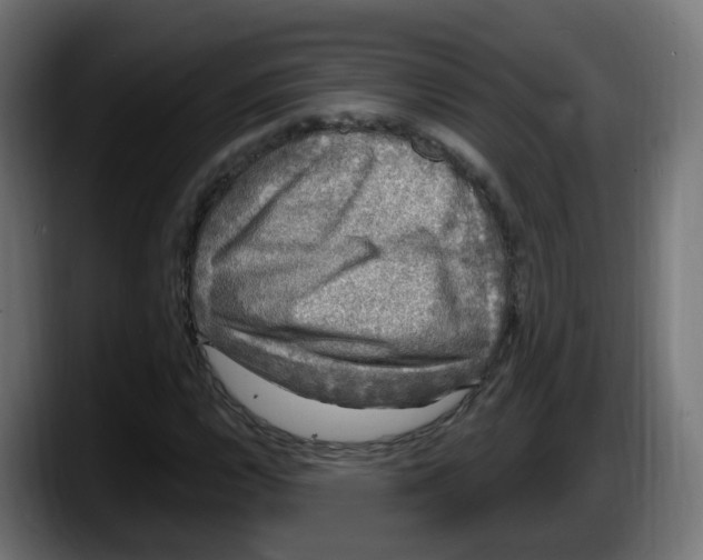 X0000087571112200705251815