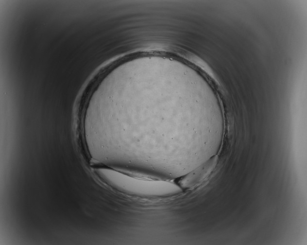 X0000087571116200705251815