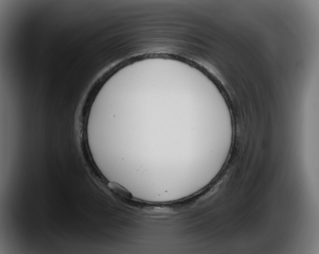 X0000087571119200705251815