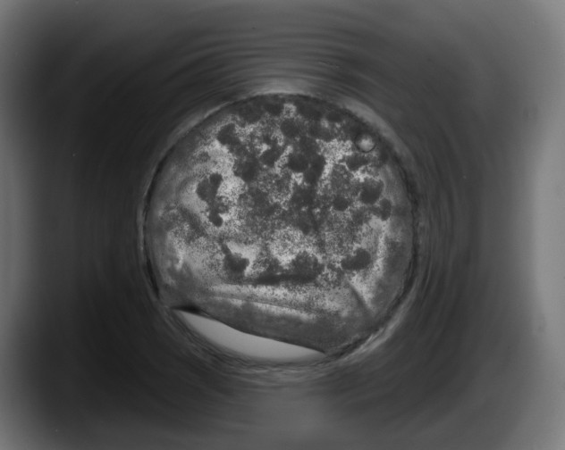 X0000087571121200705251815