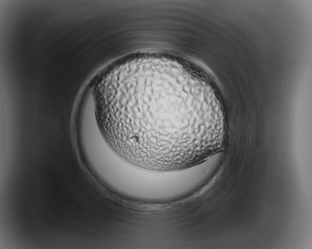 X0000087571122200705251815