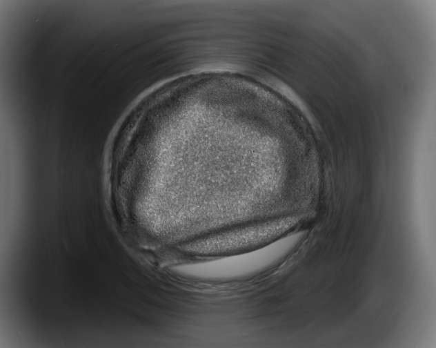 X0000087571124200705251815