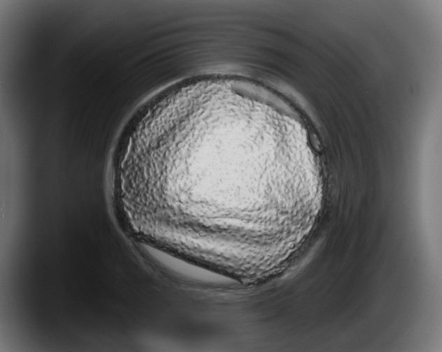 X0000087571125200705251815