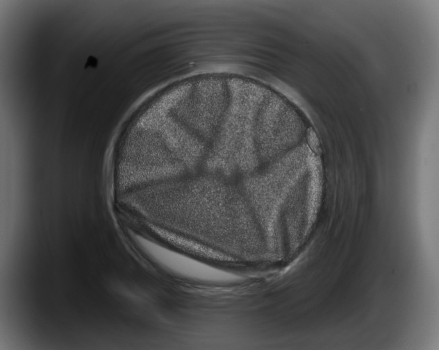 X0000087571127200705251815