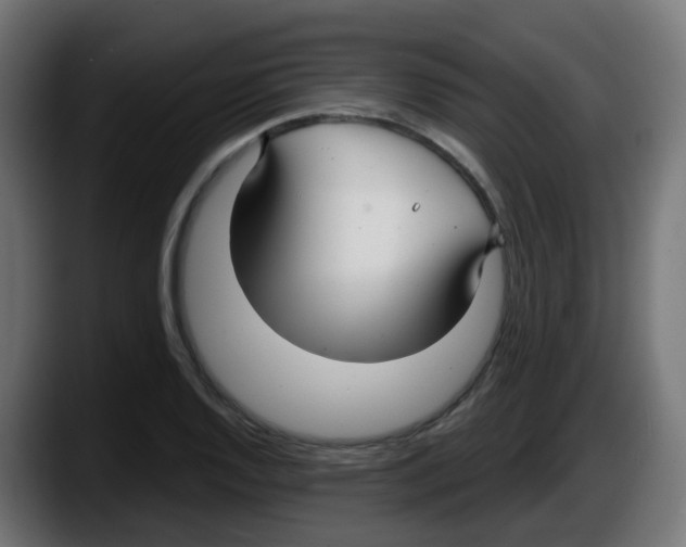 X0000087571128200705251815