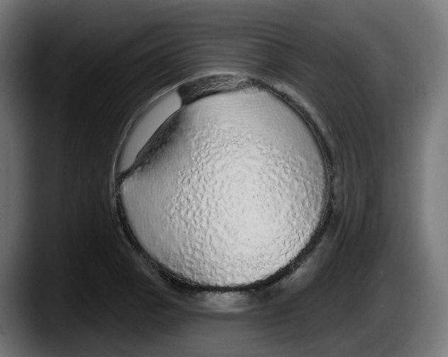 X0000087571129200705251815