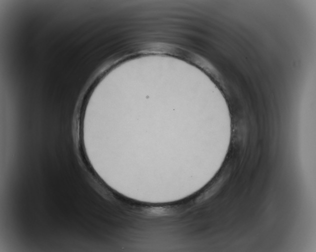 X0000087571130200705251815