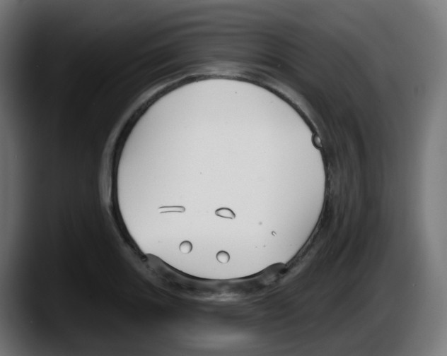 X0000087571131200705251815