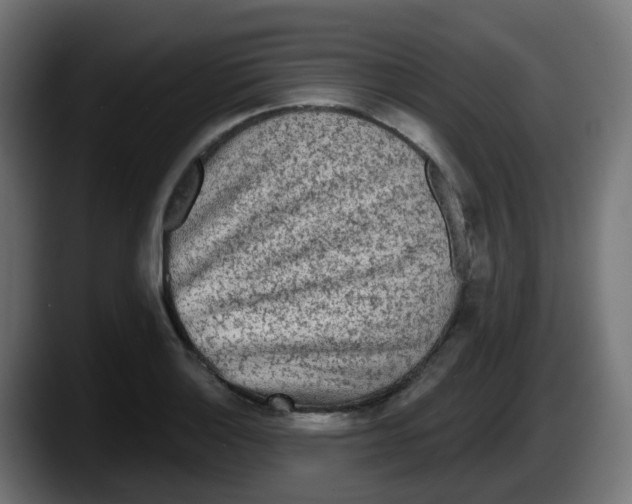 X0000087571132200705251815