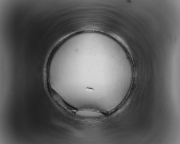 X0000087571133200705251815