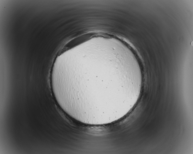 X0000087571137200705251815