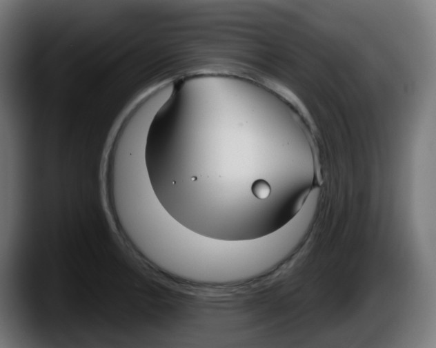 X0000087571138200705251815