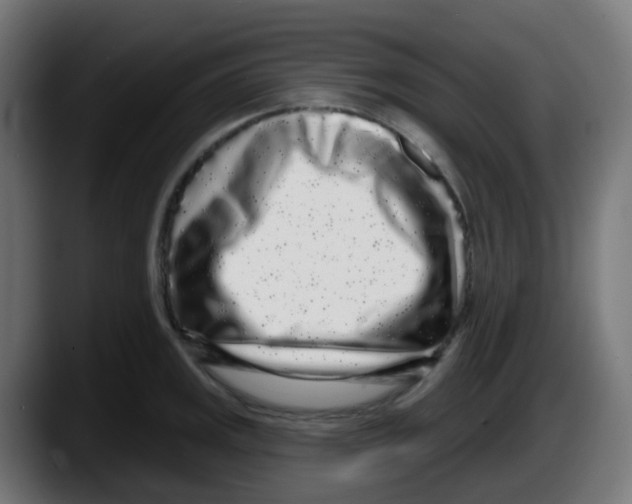 X0000087571141200705251815