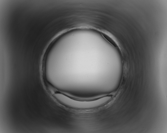 X0000087571142200705251815