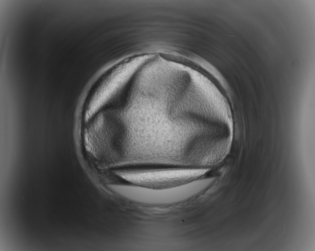 X0000087571144200705251815