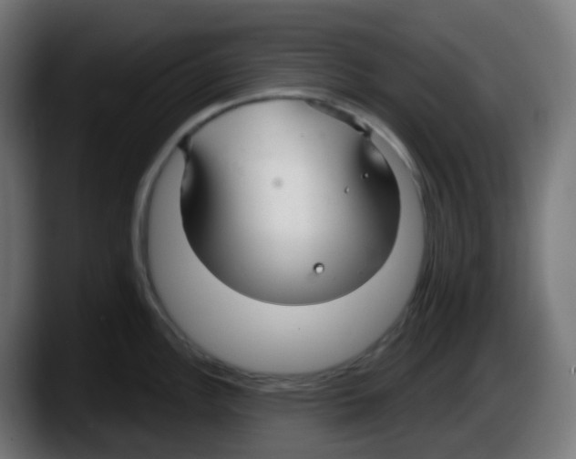 X0000087571148200705251815