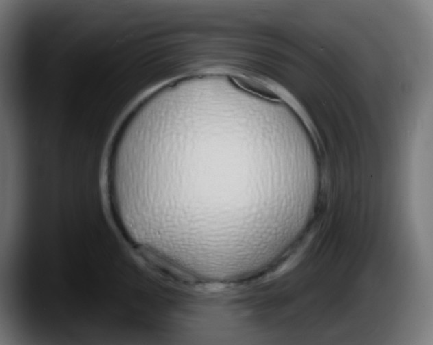 X0000087571149200705251815