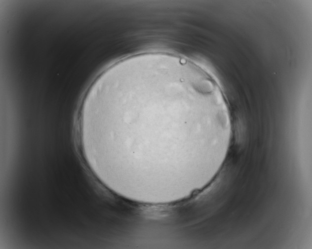 X0000087571150200705251815